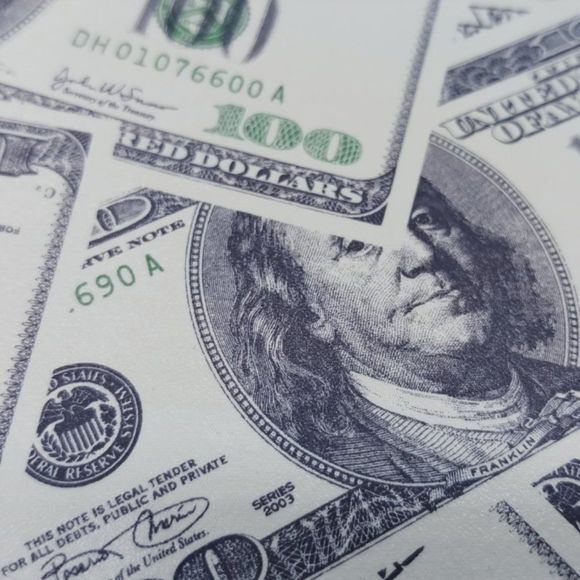 The Benny Wristlet Handbag / One Hundred Dollar Purse / Money Theme Print - NWT - Picture 6 of 6